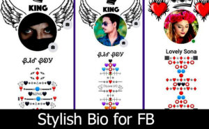 Stylish-Bio-for-FB