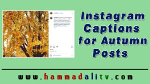 Instagram Captions for Autumn Posts