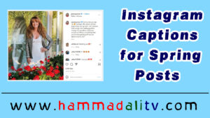 Instagram captions for Spring Posts