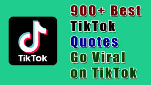 Best TikTok Quotes